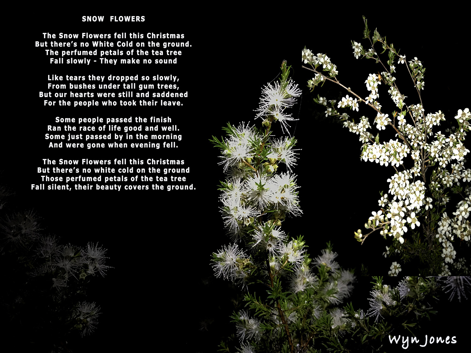 Snow flowers Snow flowers